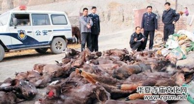 ��(gu��)���ֲݾֵ��岿�T��ͬ�_(k��i)չ���Ұ����(d��ng)���`Ҏ(gu��)���׌��(xi��ng)��(zh��)���Є�(d��ng)