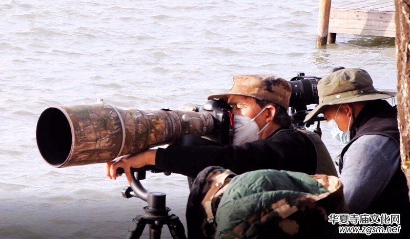 �����U�͈@ �Ŀ����������ľ�ɫ