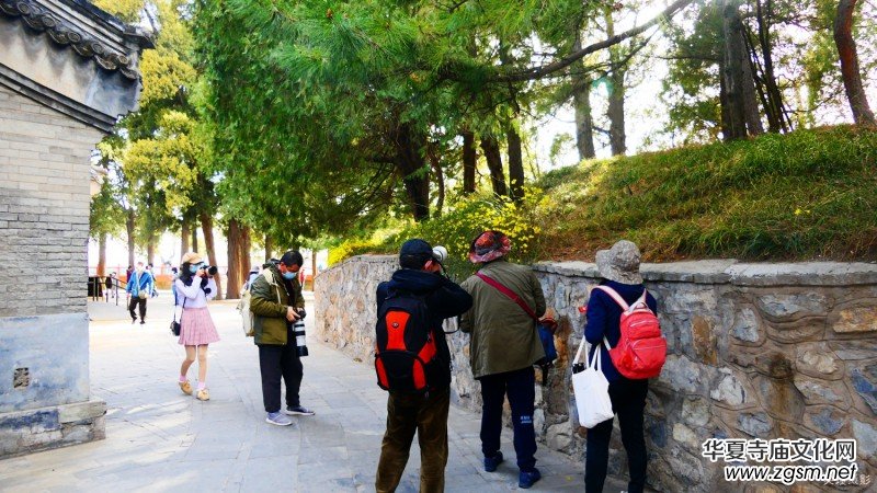 �����U�͈@ �Ŀ����������ľ�ɫ