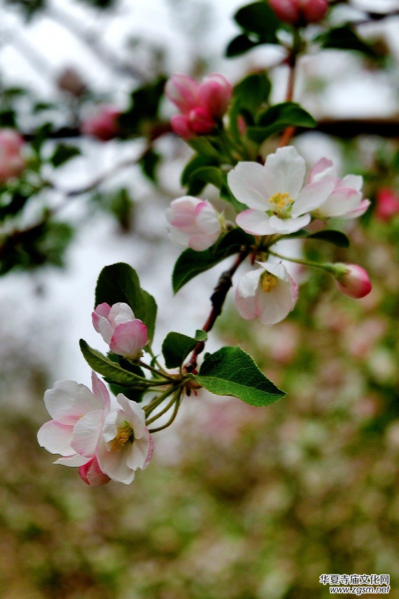 �O��܊�zӰ:����֮�F��������Ԋ(sh��)�~��ĺ��Ļ�