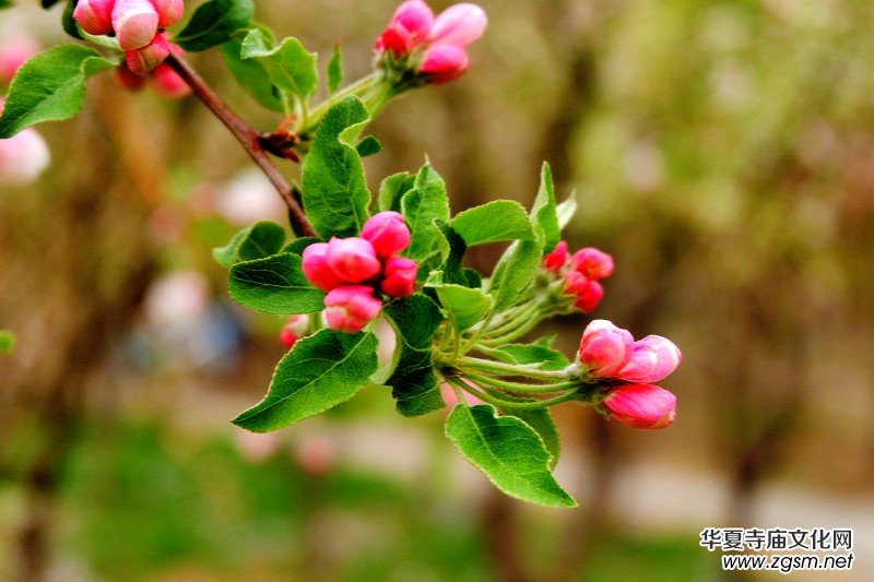 �O��܊�zӰ:����֮�F��������Ԋ(sh��)�~��ĺ��Ļ�