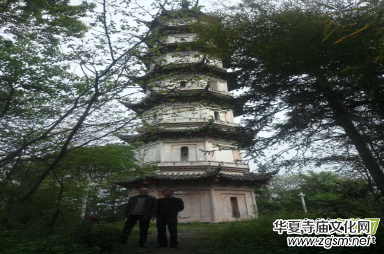 ��Ԓ�����ݰ�������