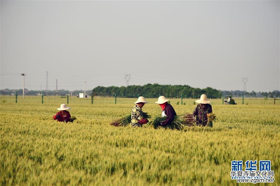 ��ͬ�����ăɕ�(hu��) �f��һ�ĵ�����