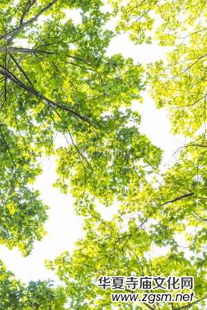 Ц��Ԋ��:һ���x��(�����)