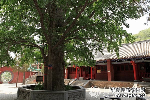 ��ɽ�������˺�ҕ����Ժ ��������߀��400����