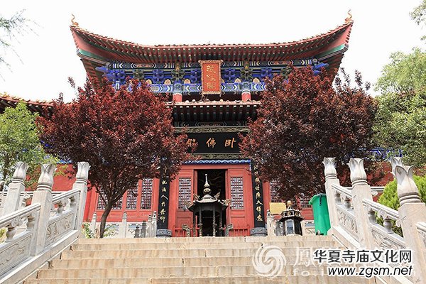 ��ɽ�������˺�ҕ����Ժ ��������߀��400����