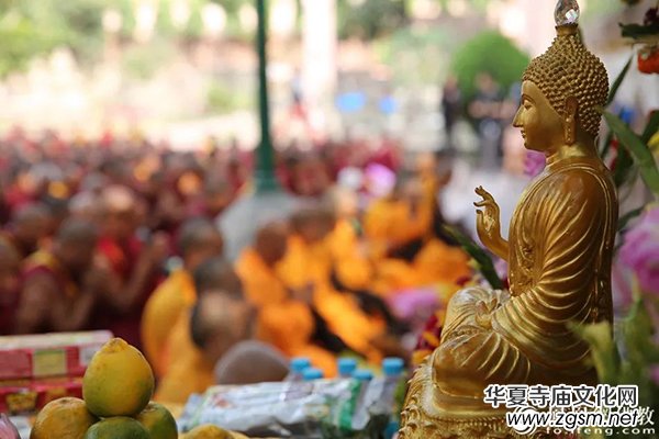  ����������ڽ̆����挍(sh��)�ČW(xu��)����Ⱥ�����������