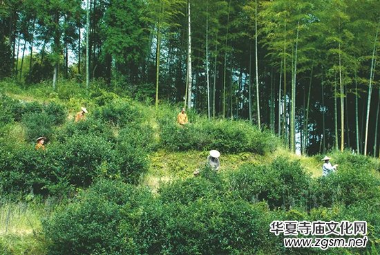 ������Ժ  ����ѩ���ʥ�U��