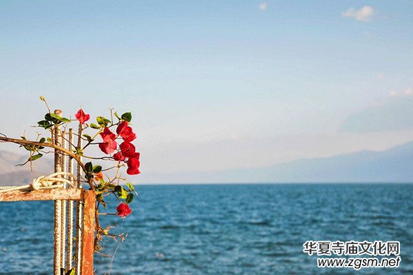 �Ї���������֣����O(sh��)���ֻ�N�������궼��ȥ����