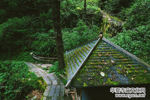 �Ї���������������O(sh��)���ֻ�N�������궼��ȥ����