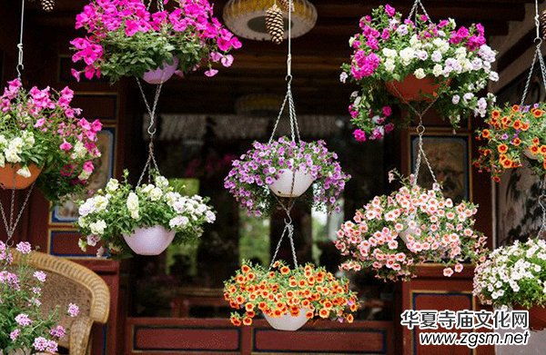 �Ї���������������O(sh��)���ֻ�N�������궼��ȥ����