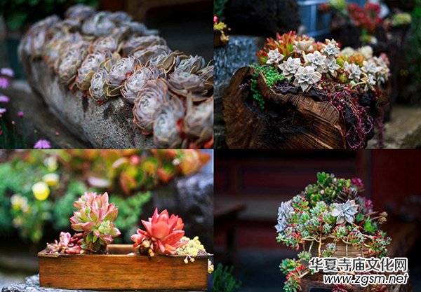 �Ї���������������O(sh��)���ֻ�N�������궼��ȥ����