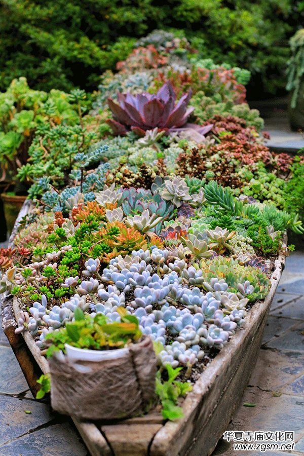 �Ї���������������O(sh��)���ֻ�N�������궼��ȥ����