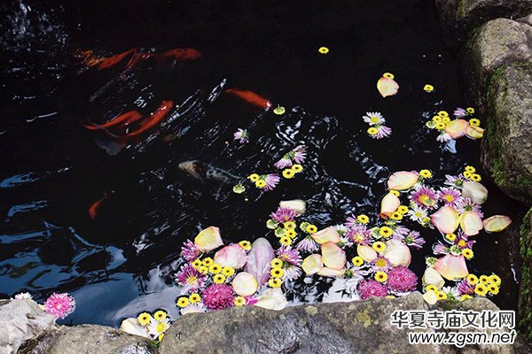 �Ї���������������O(sh��)���ֻ�N�������궼��ȥ����