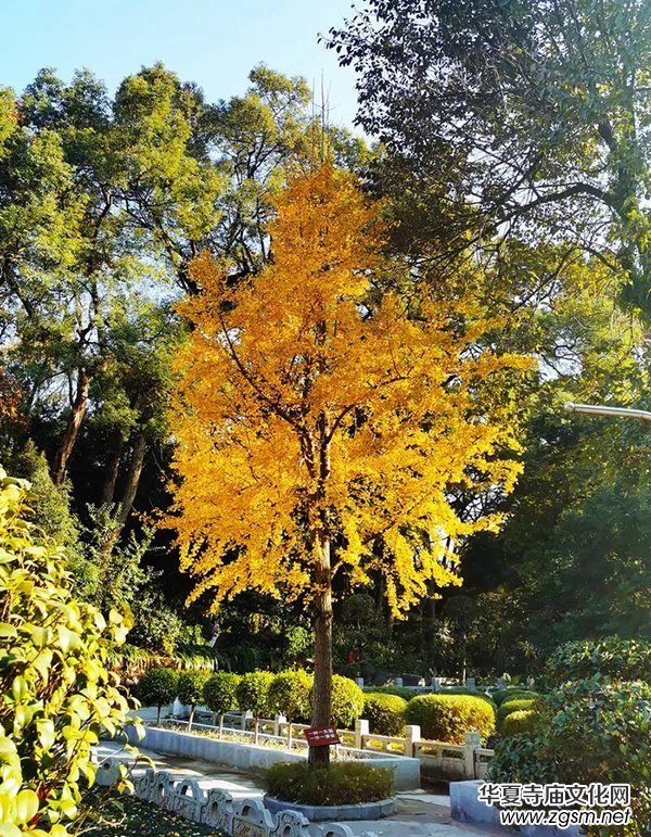 ������Ժ   �V�|���A�U��