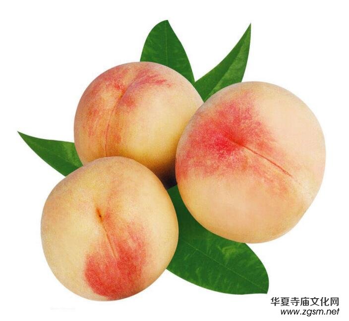 �(y��ng)ɽˮ���ҷNֲ���ء���ӛ��ꂥ�f���ڽ��c��������Y(ji��)��