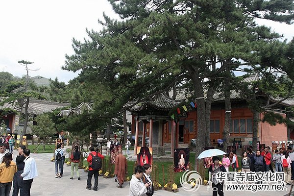 �������_ɽҎ(gu��)ģ���Ӱ���V Ҳ������ϵ���Ժ