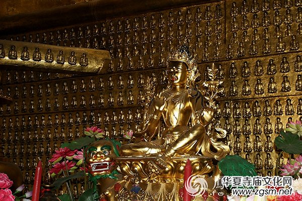 �������_ɽҎ(gu��)ģ���Ӱ���V Ҳ������ϵ���Ժ