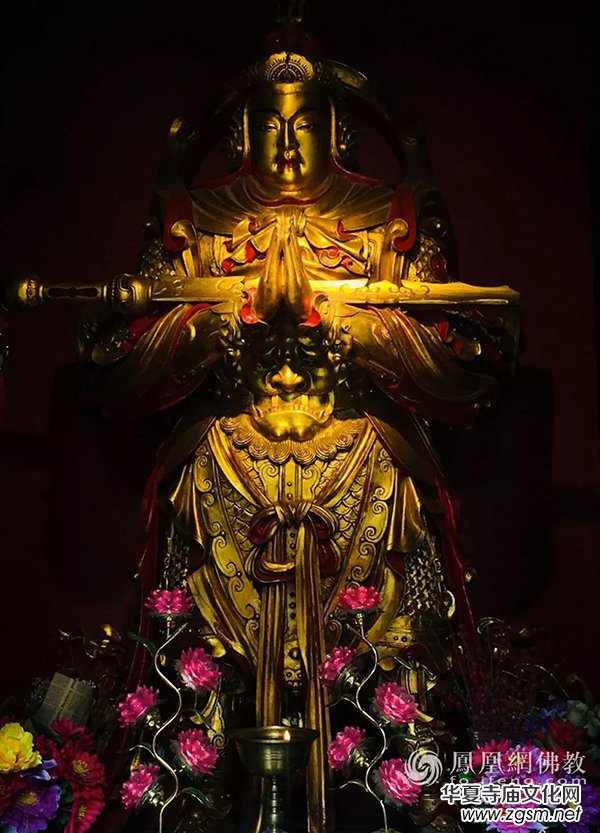 ��ӭ�f�W���_ʥ�Q����Ը���_�o(h��)�ӷ��籊�� �������gһ������