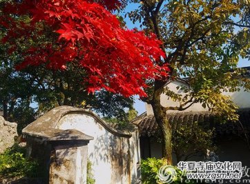 ���Է�������ʲô�F(xi��n)��������ƣ�v���w���Y(ji��)�׾���