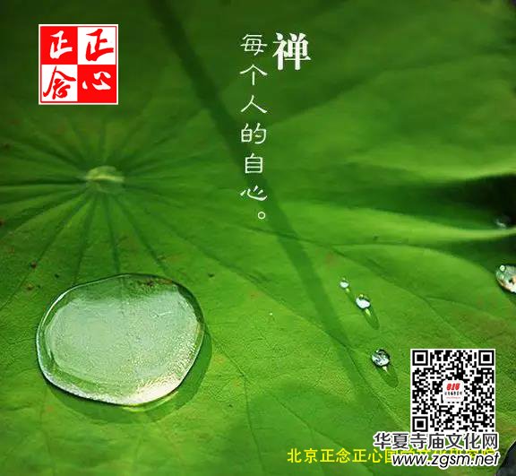 Ц��:������������˼�S��׃����