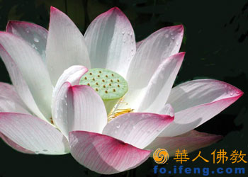 ��(n��i)�ɹ����ȏV���·������