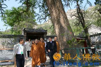 �Ϻ�����EMBA�{(l��n)�z���(xi��ng)Ŀ�M���^������Ȫ��