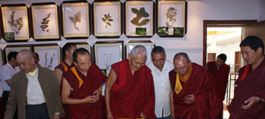 ���t(y��)��(zhu��n)��һ�Ѕ��^(gu��n)�����²��t(y��)Ժ��(bi��o)����