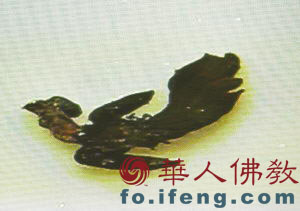 �Ͼ����(b��o)�����F����(n��i)�l(f��)�F(xi��n)�̽��ߌ���