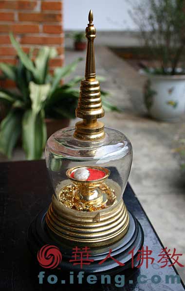 ��픹ǵ���Щ��