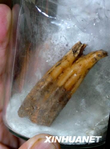 ɽ�|�d¡���،m����һ�����F���ʥ��