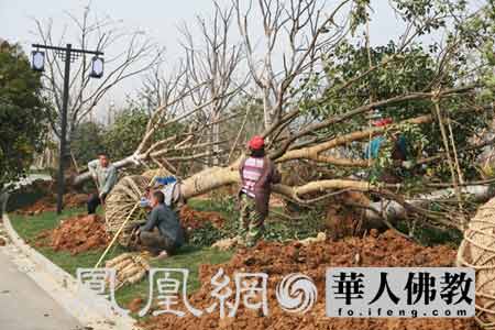 Փ��ϵ�Ј����Փ��ǰҹ �`ɽ����