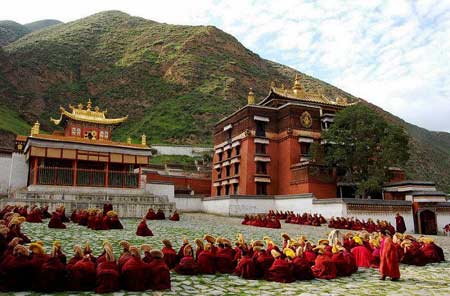 ���������Ƹ����xȫ���ż����c���o(h��)��λ