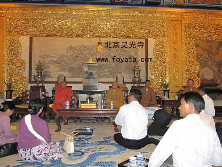 ��������һ֦��ɽ����һ�Ѕ��L�`���� ���ݷ�������