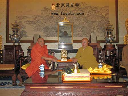 ��������һ֦��ɽ����һ�Ѕ��L�`���� ���ݷ�������