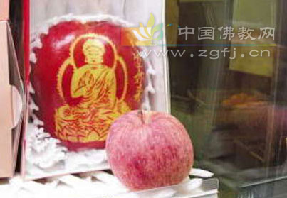 �K����r�N�����O��һֻ�u8800