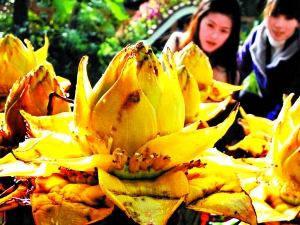 ����ֲ��@�Nֲǧ��ɏ�� ����2����