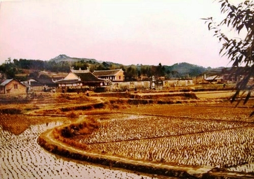 ǧ��ńx�����Y��(gu��)����Ƹ�x��