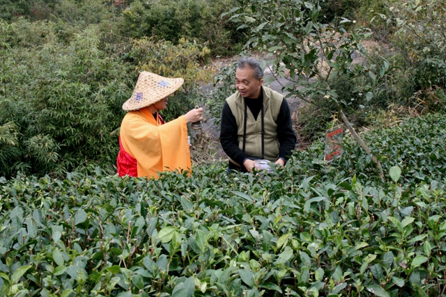 ȫ�����Ҳ��L(f��ng)�������J(r��n)�B(y��ng)�Y���U��