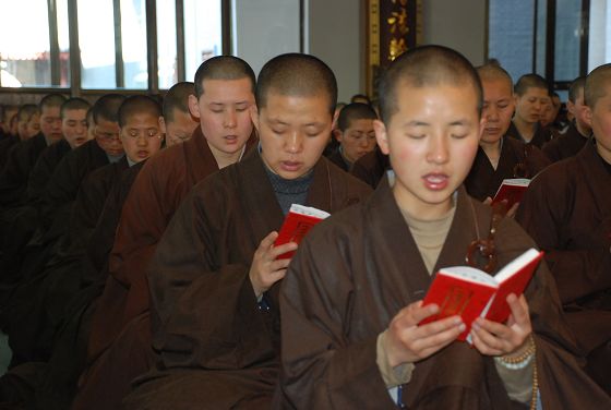 ���Ϻ��лص����_ɽ