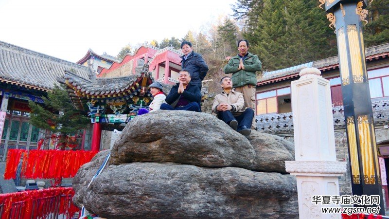 2020���_ɽ�Ļ�ˇ�g(sh��)ϵ�в��L(f��ng)��ӈA�M�e��