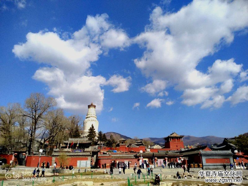 2020���_ɽ�Ļ�ˇ�g(sh��)ϵ�в��L(f��ng)��ӈA�M�e��