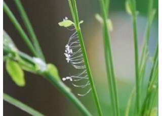 ȫ������������I���F(xi��n)���E���������(l��i)�A(y��)ʾʲô�������D��