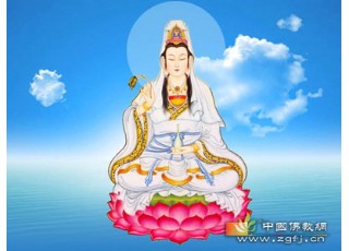 �^���������~�̓�ƿ������ʲô��