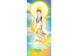 �^�������_ʾ�F(xi��n)��׃(�D��)