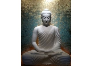 ���ʷ����P(gu��n)���خ����ܵ��_ʾ