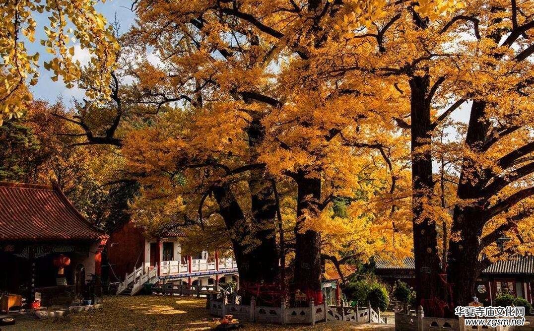 ������ɽ������(d��o)���~