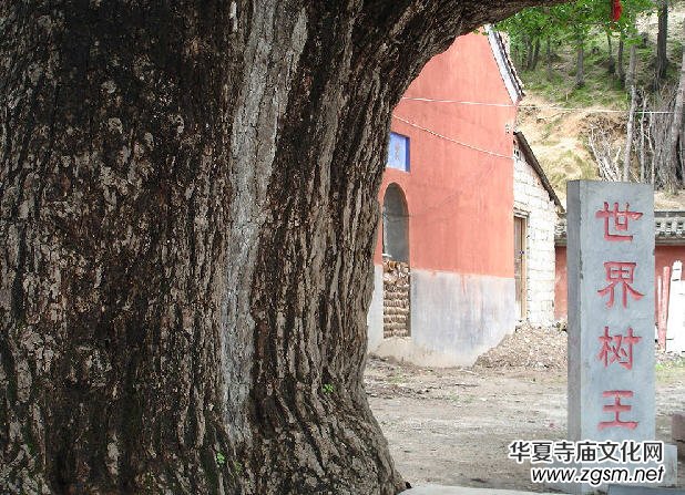 ������ɽ������(d��o)���~