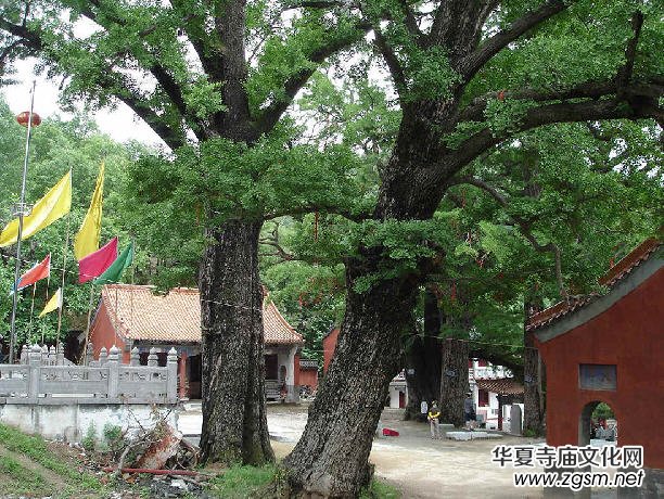 ������ɽ������(d��o)���~