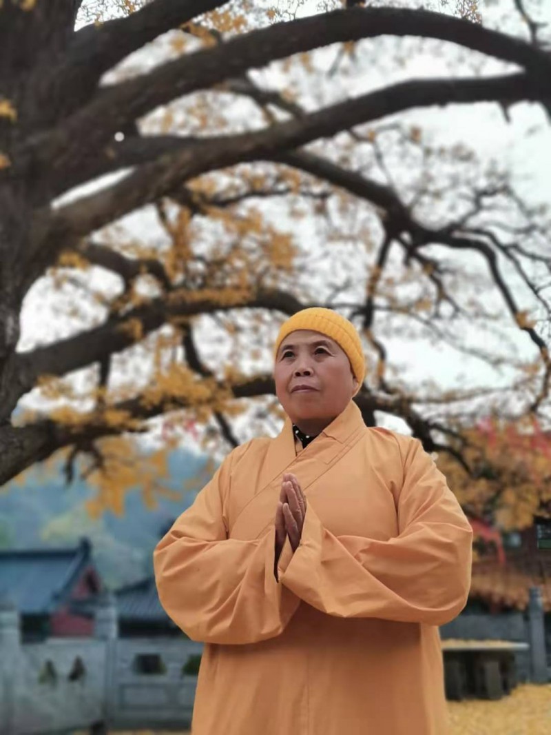 ������ɽ�������ӡ��(l��i)�Ϻ���